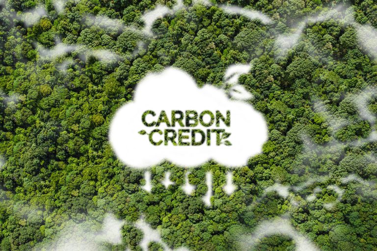 MIT_Carbon-Credits-Explainer-01
