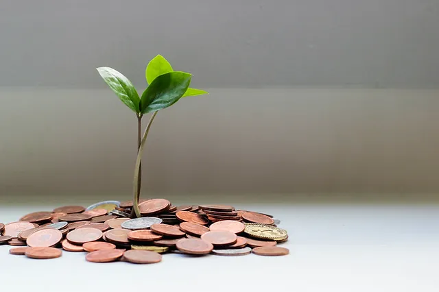 carboncredit